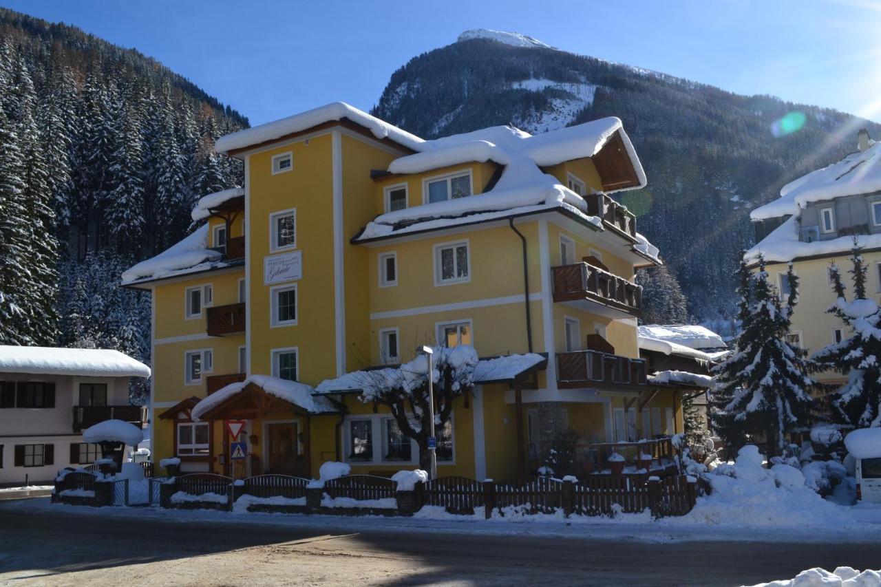 Pension Appartements Gabriele バードガシュタイン エクステリア 写真