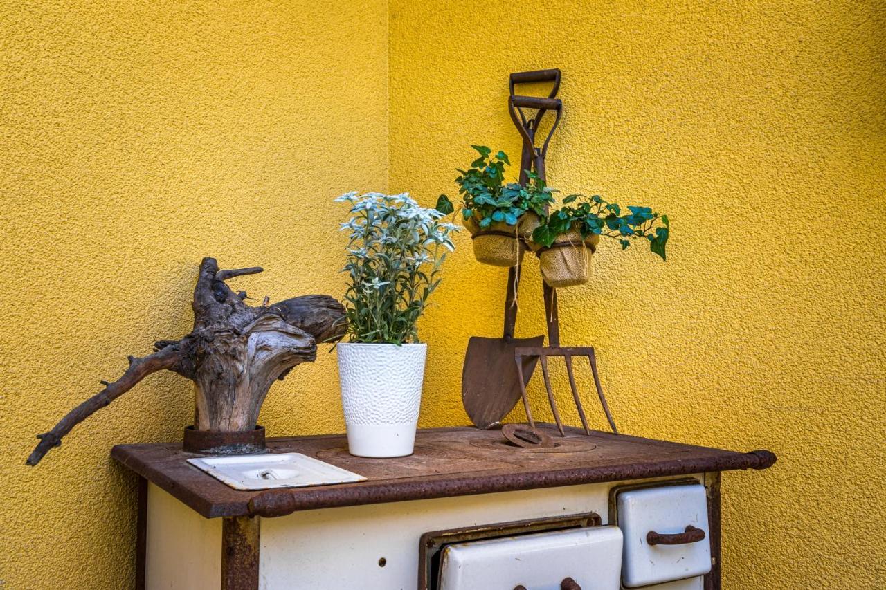 Pension Appartements Gabriele バードガシュタイン エクステリア 写真